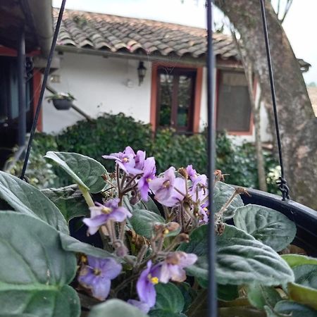 Hotel Boutique Casabella Coatepec  Exterior photo