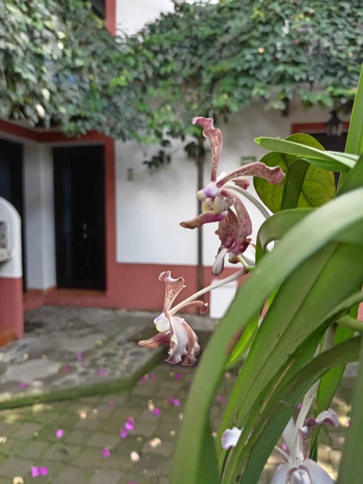 Hotel Boutique Casabella Coatepec  Exterior photo