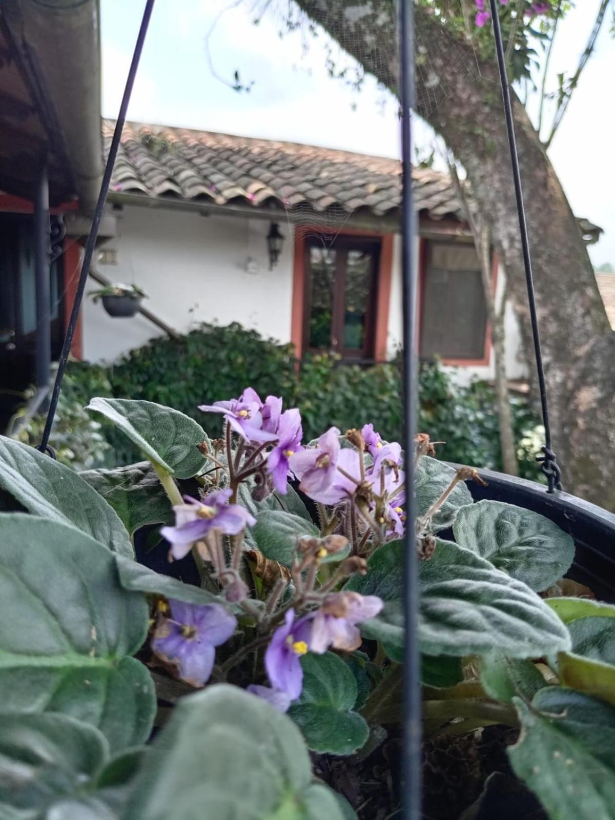 Hotel Boutique Casabella Coatepec  Exterior photo