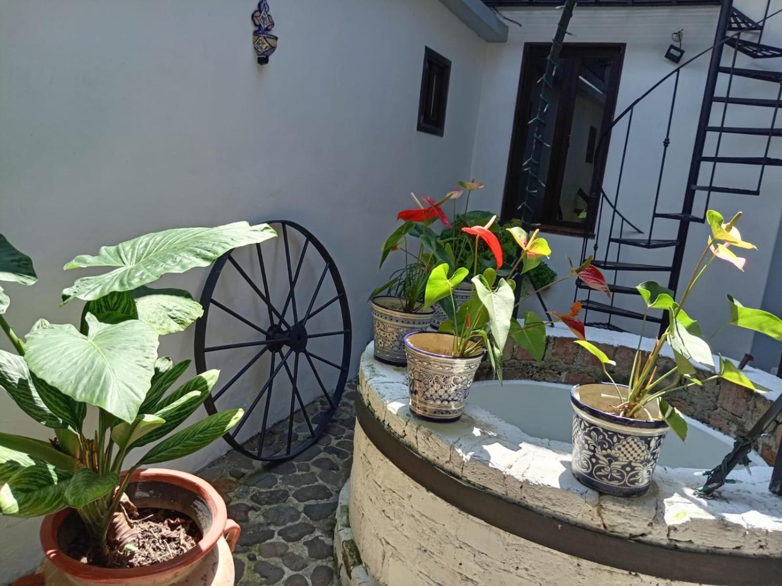 Hotel Boutique Casabella Coatepec  Exterior photo